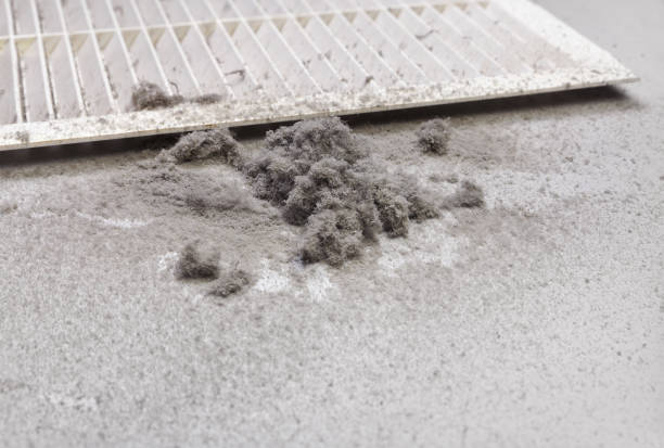 Best Dryer Vent Cleaning Services  in Burgettstown, PA